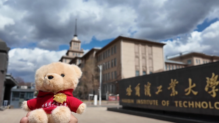 Follow bear toy to explore HIT