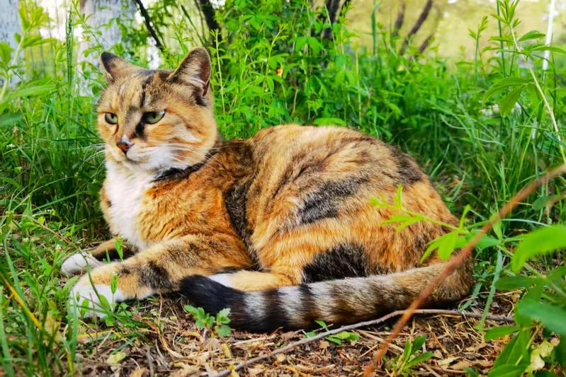 Spring snapshots of HIT's cutest residents