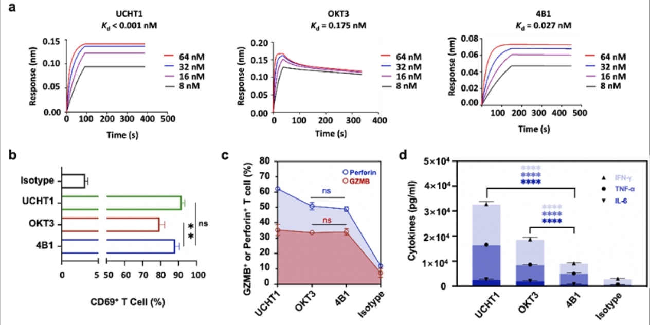 Structural mechanism of biased activation of T cell receptor