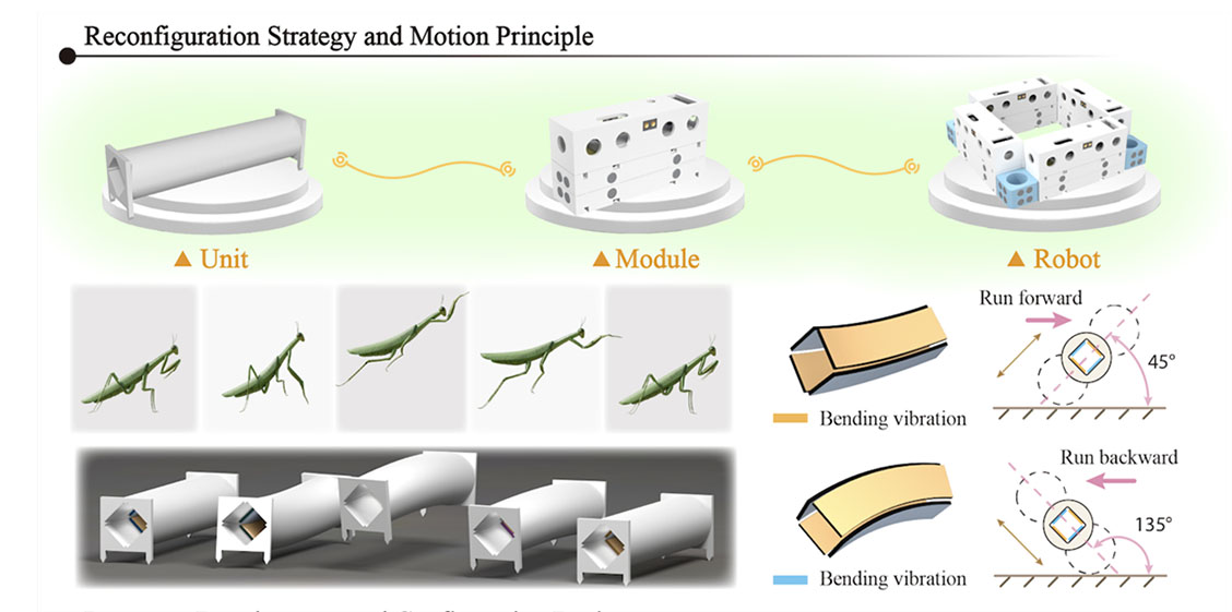 HIT team develops reconfigurable centimeter-scale piezo robot