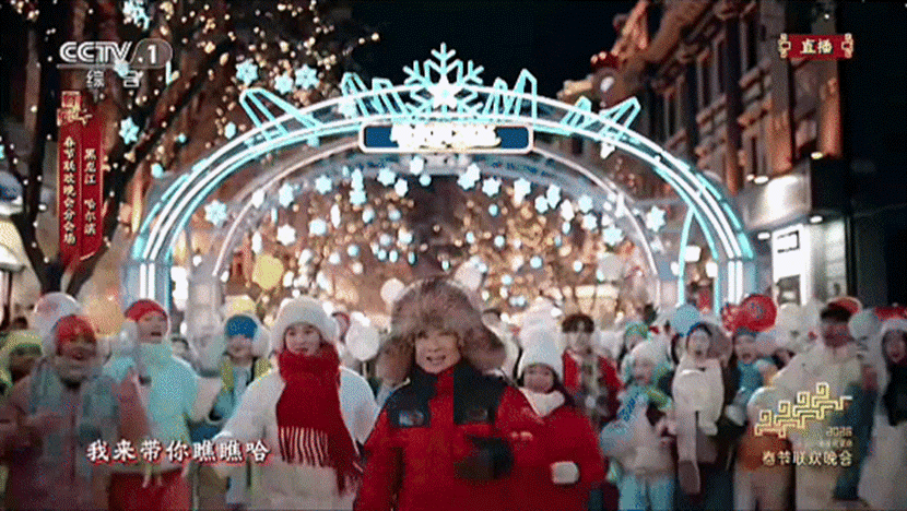 HIT elements shine at 2026 Spring Festival Gala