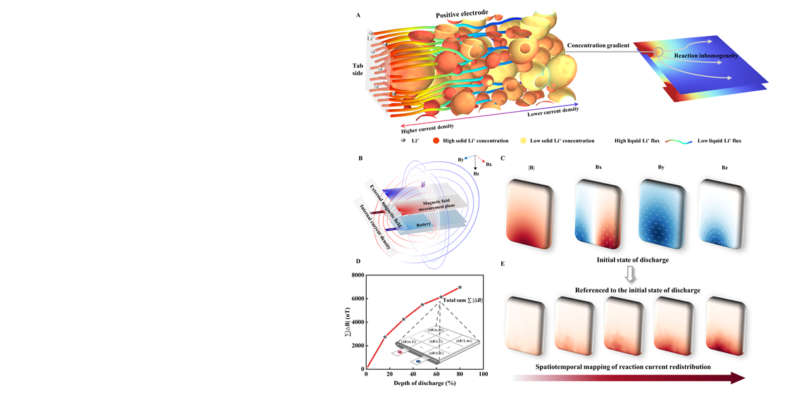 Professor Du Chunyu's team pioneers operando non-destructive mapping technique