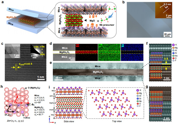HIT Shenzhen Researchers Make Breakthrough in 2D Integrated Circuits