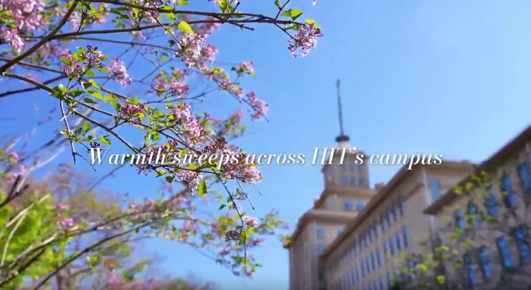 Romantic May campus