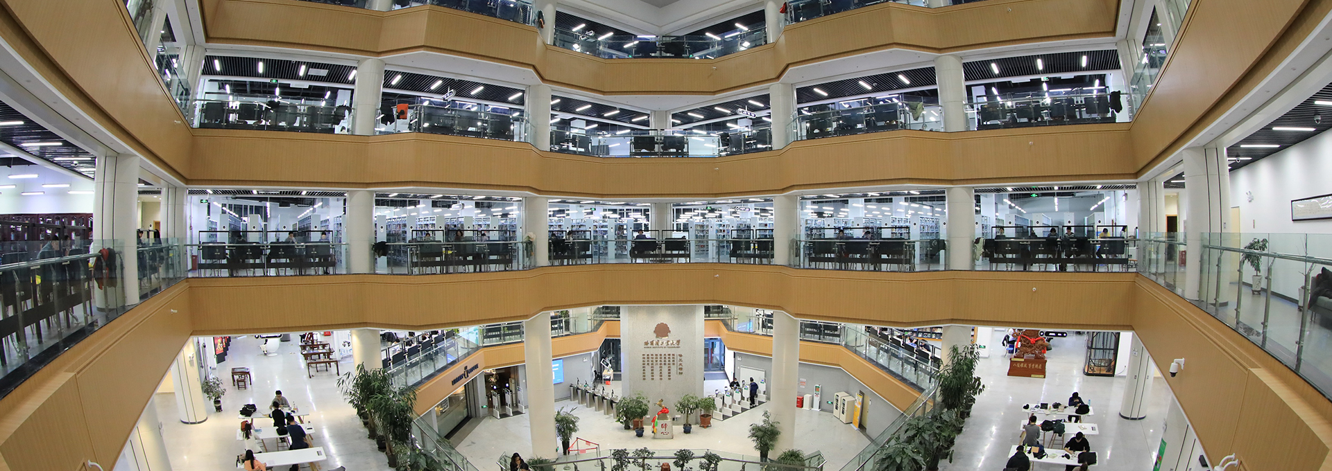 Career Development & Employability