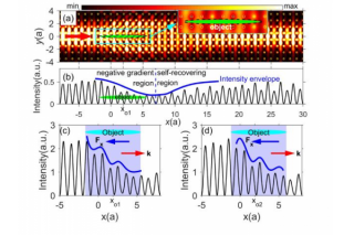 Research Group Led by Ding Weiqiang Makes Great Progress in Optical Manipulation