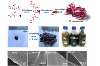 Associate Professor Zhou Weiwei team made significant progress in the field of macro-material manufacture of two-dimensional materials