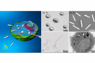 The First Swimming Liquid Metal Nanomachine is Developed