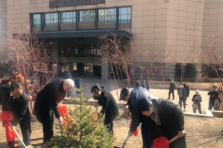 Trees symbolizing evergreen friendship planted together by HIT and Pacific National University