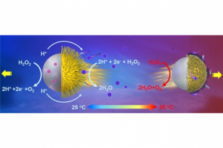 New progress has been made in the study of motion control of colloidal motors in our university