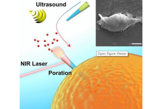 “Operate on cells? ”—This Goal is Expected to Be Realized by the Latest Research Results of Harbin Institute of Technology.