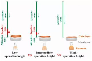 Professor Ma Jun's Team of HIT First Revealed Achievement with Broad Application Prospects