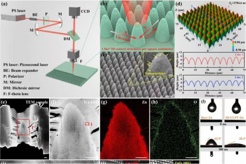 New Insights for the Development of High-Performance Zinc-Based Energy Storage Devices