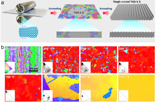 Important Progress in the Controllable Preparation of Large-Size Single-Crystal Metal foils with High-Index Facets