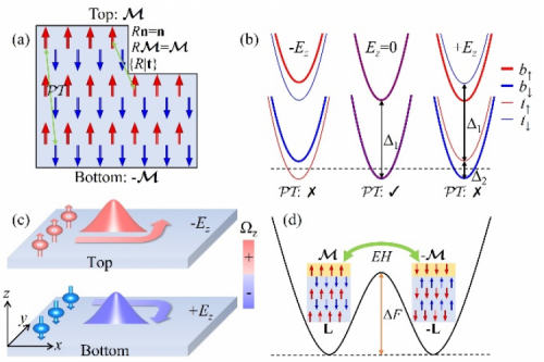 HIT’s Physicists Propose a New Method for Detecting the Nèel Vector in Magnetoelectric Antiferromagnets