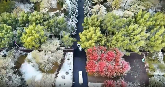 HIT's snow scenery in autumn