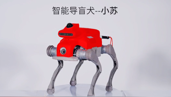 Meet HIT intelligent guide dog 'Xiao Su'